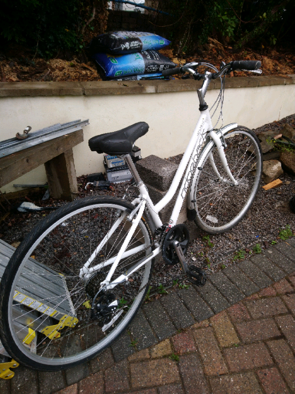 ridgeback speed ladies